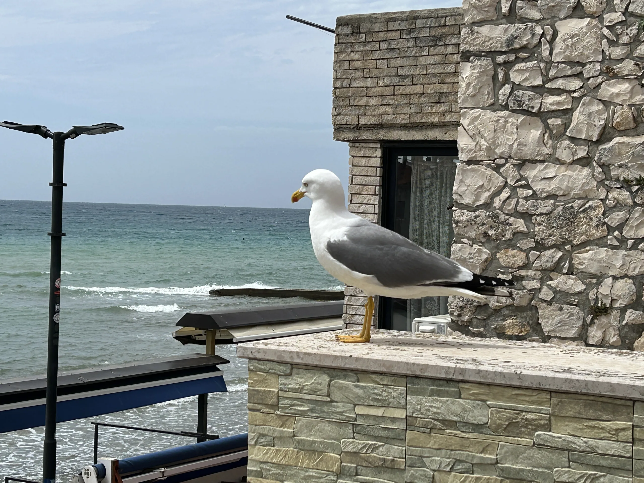 The Adriatic coast — cinematic destination photography by Untold Vista