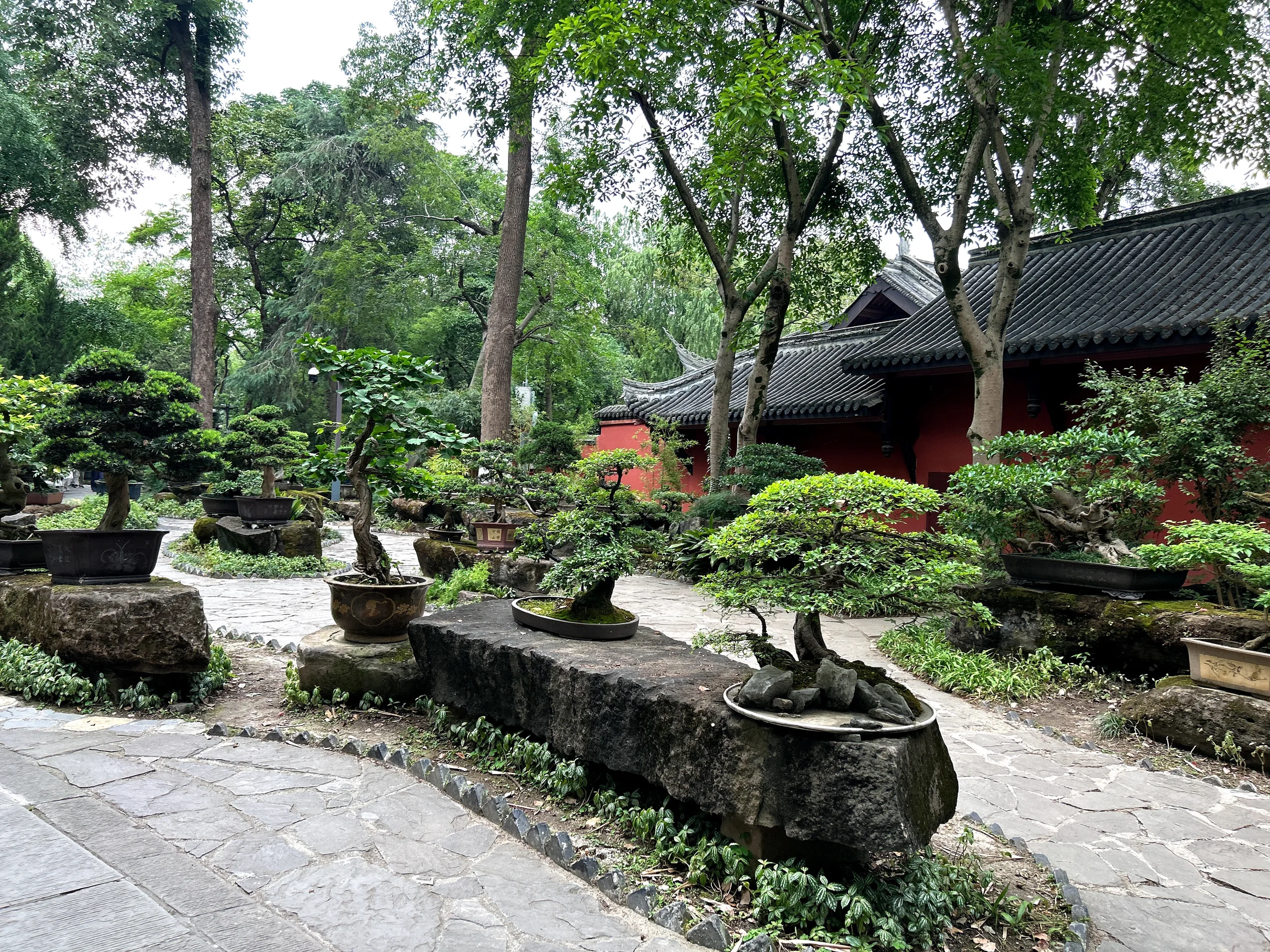 Chengdu, China — cinematic destination photography by Untold Vista