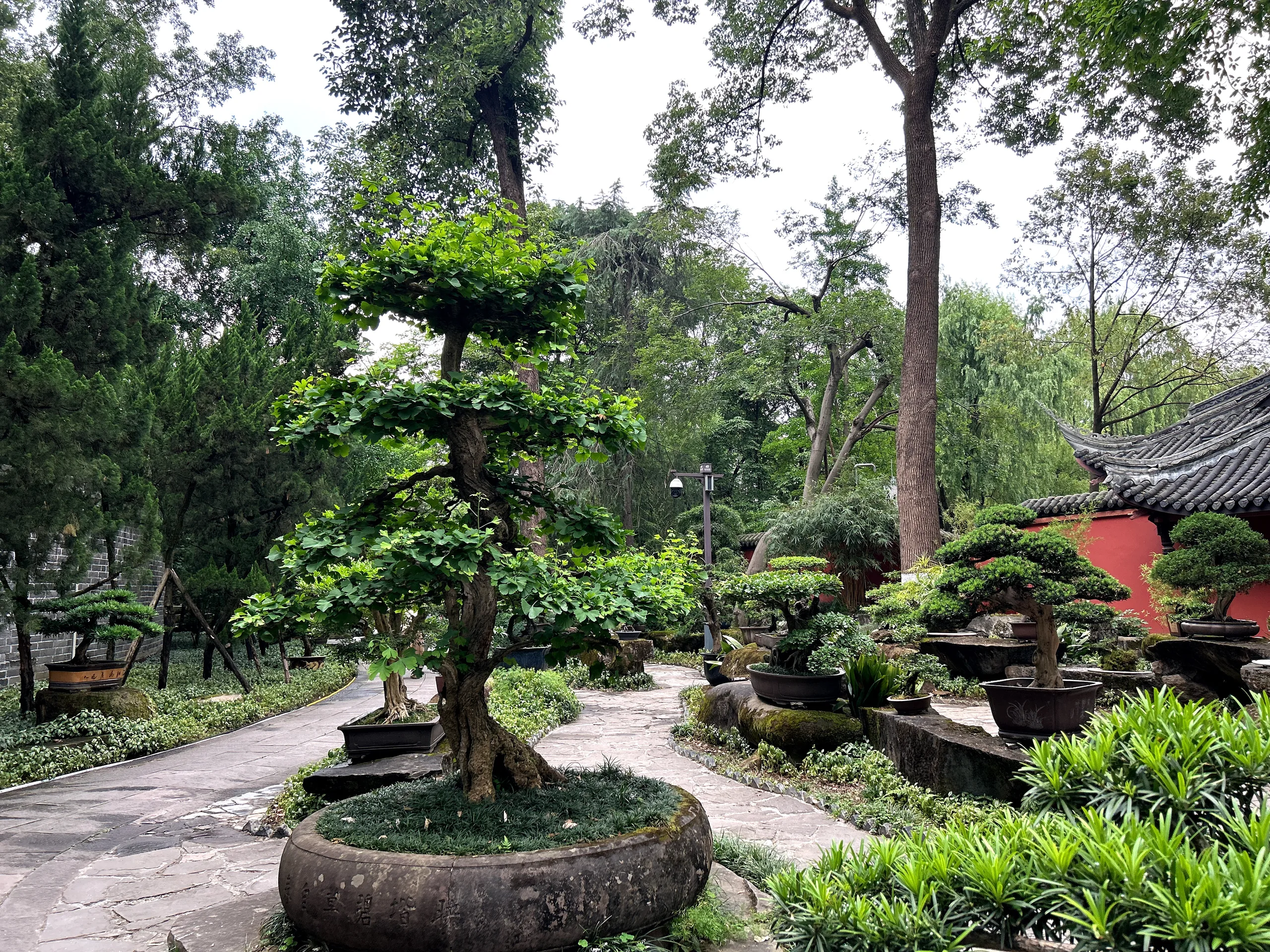 Chengdu, China — cinematic destination photography by Untold Vista