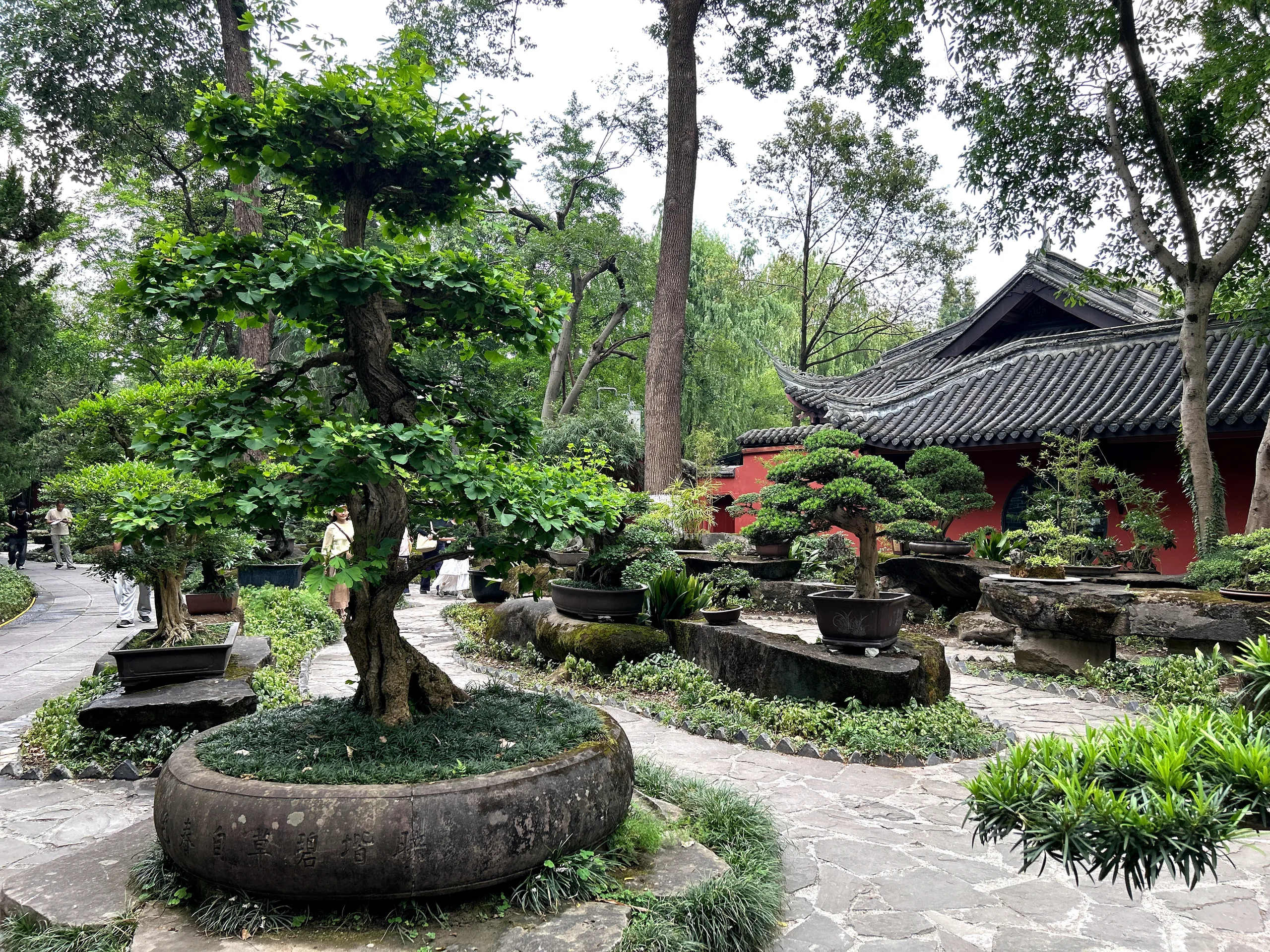 Chengdu, China — cinematic destination photography by Untold Vista