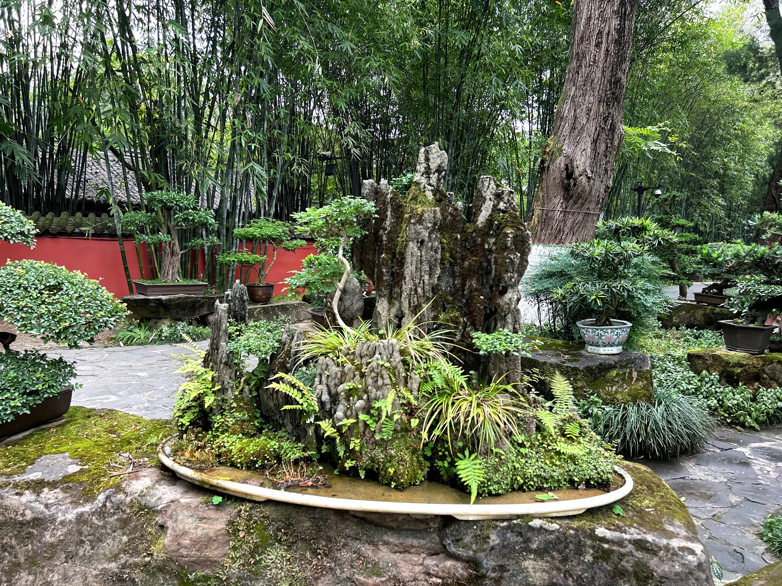 Chengdu, China — cinematic destination photography by Untold Vista
