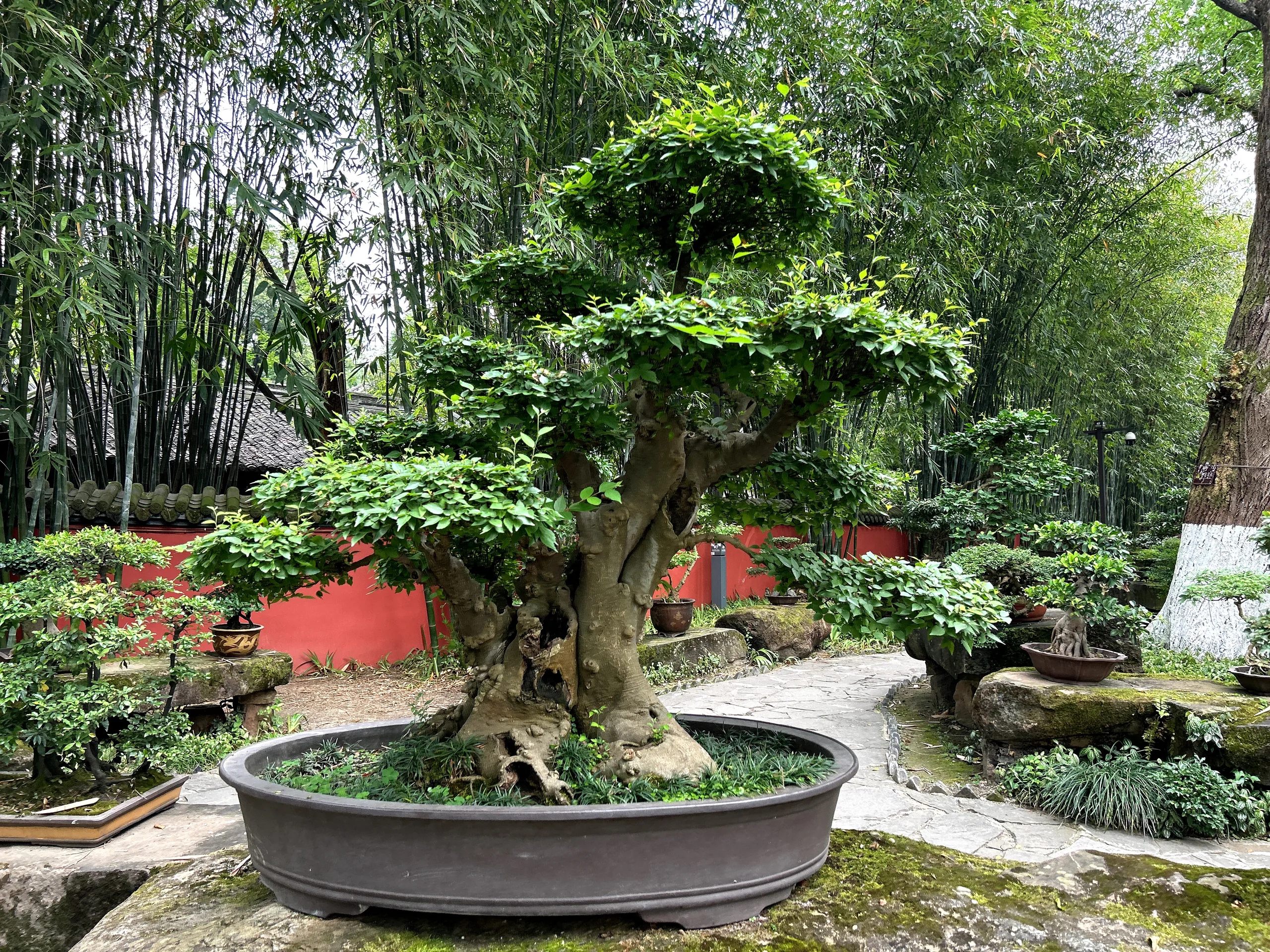 Chengdu, China — cinematic destination photography by Untold Vista