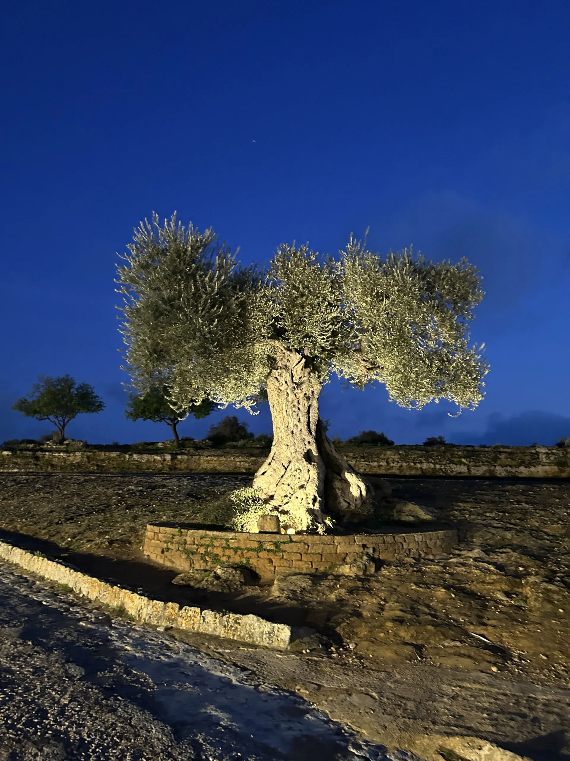 Sicily, Italy — cinematic destination photography by Untold Vista